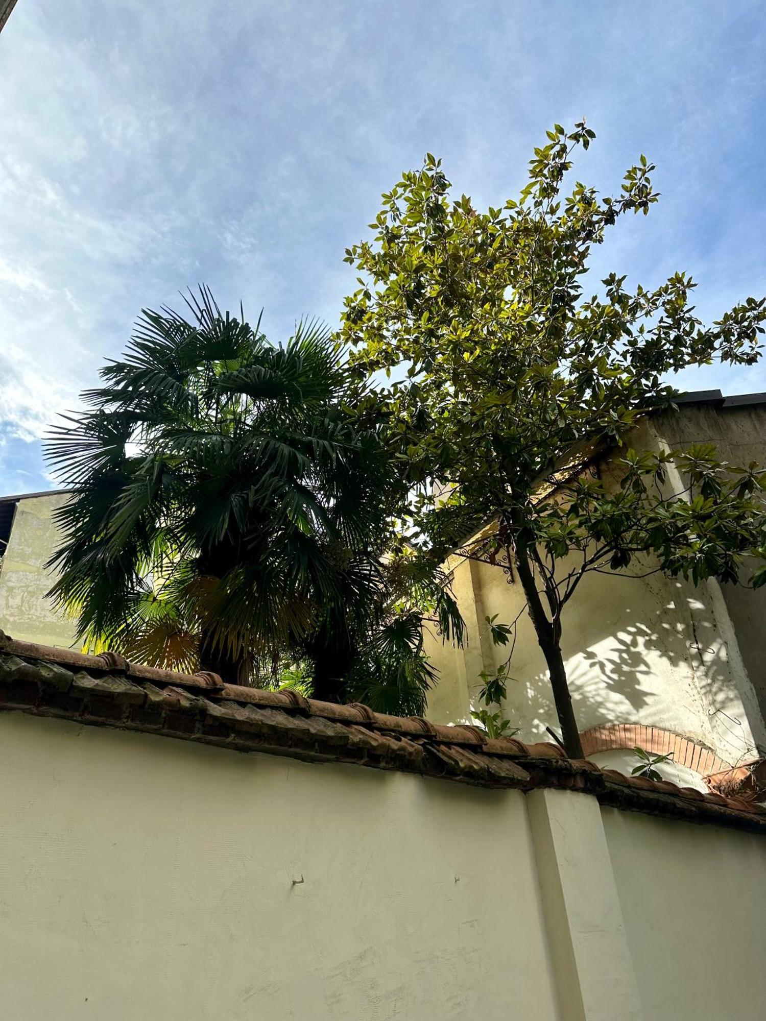 Lr Deluxe Apartments - Porta Venezia - Bilocale Con Giardino Privato Mediolan Zewnętrze zdjęcie