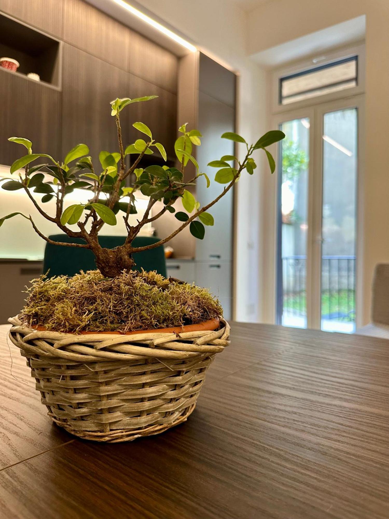 Lr Deluxe Apartments - Porta Venezia - Bilocale Con Giardino Privato Mediolan Zewnętrze zdjęcie